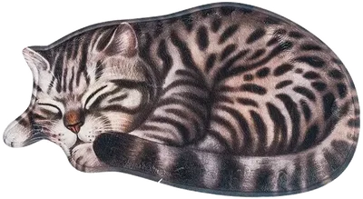Коврик Carnation Home Fashions 3D Cat ACAT76BRN 76x40 см, для ванной, коричневый, рисунок