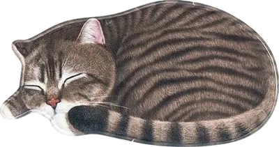 Коврик Carnation Home Fashions 3D Cat Beige 40x76 см, для ванной, рисунок, бежевый, коричневый
