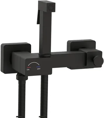 Гигиенический душ Weltwasser Higi Q02 BL со смесителем, матовый черный