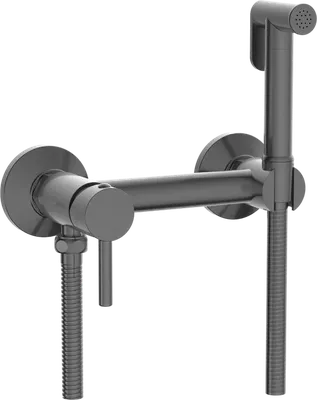 Гигиенический душ RGW Shower Panels SP-215Gr со смесителем, серый