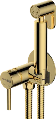 Гигиенический душ Wasserkraft Sauer A70738 со смесителем, С ВНУТРЕННЕЙ ЧАСТЬЮ, глянцевое золото PVD